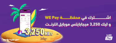 WE Pay Summer Promotion