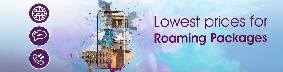 all in one bundles roaming from WE telecom Egypt all in one bundles roaming from WE telecom Egypt